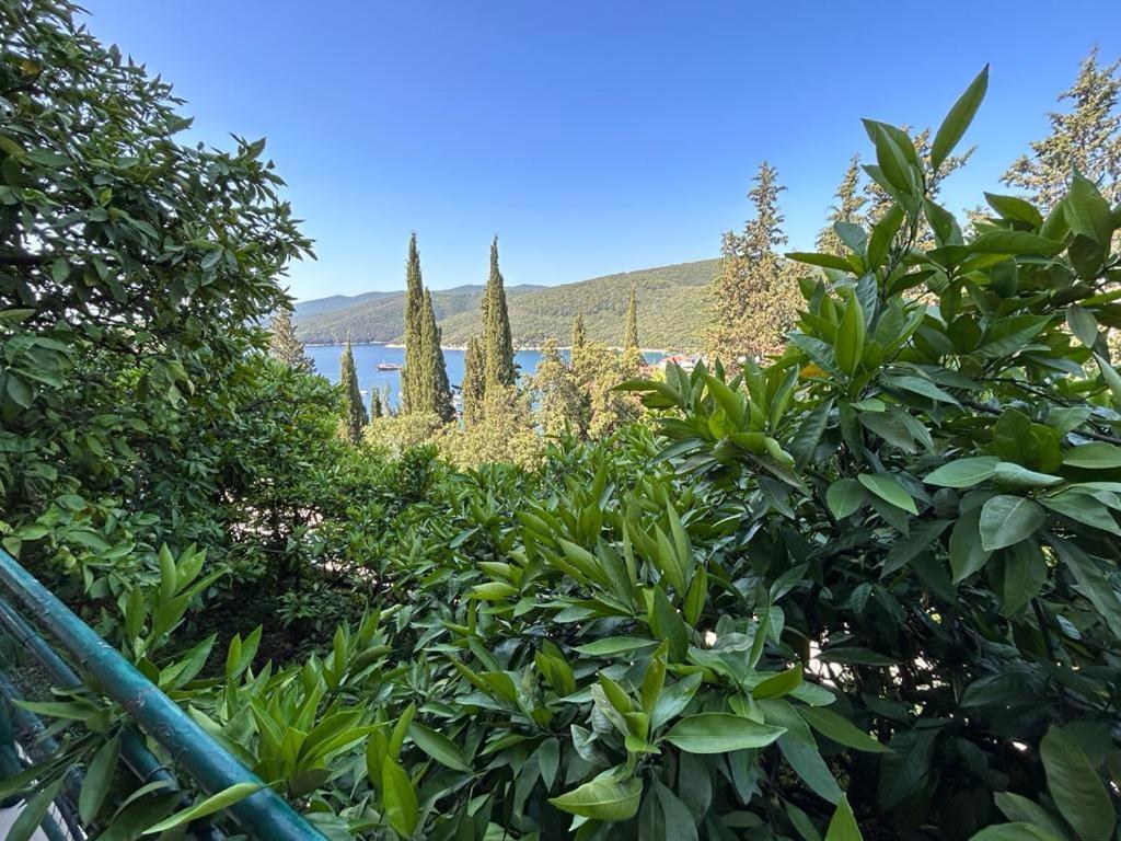 Apartment Near The Sea 650 Rabac Kültér fotó