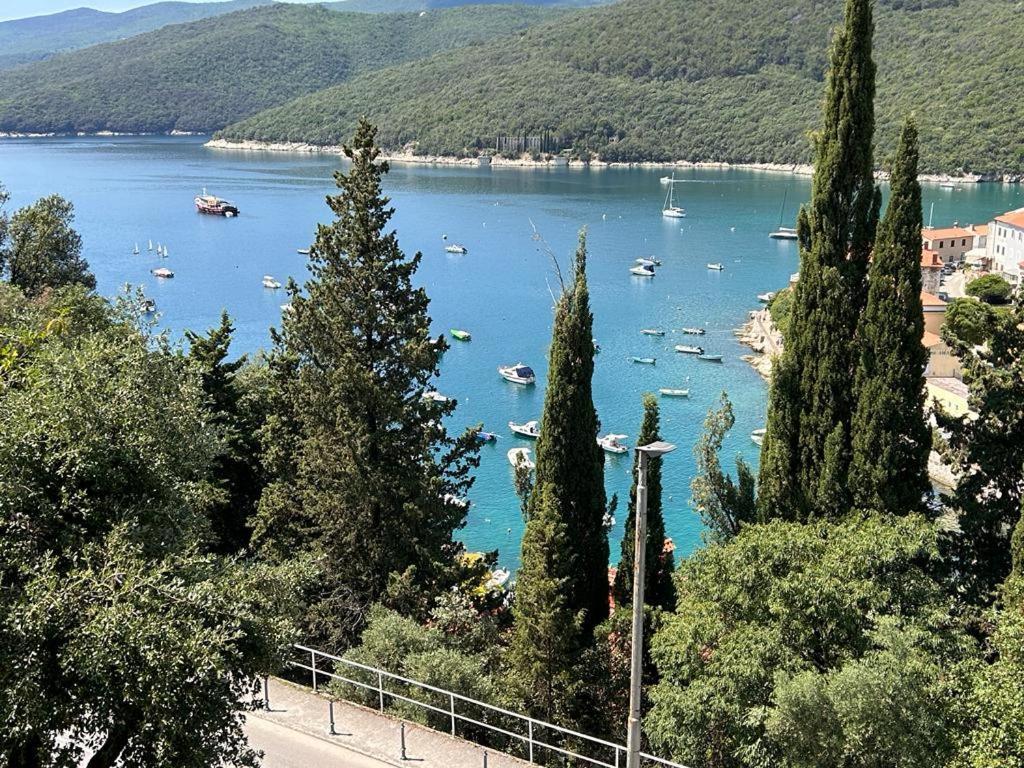Apartment Near The Sea 650 Rabac Kültér fotó